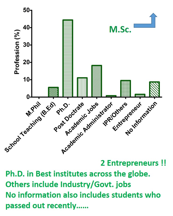 Graph MSc